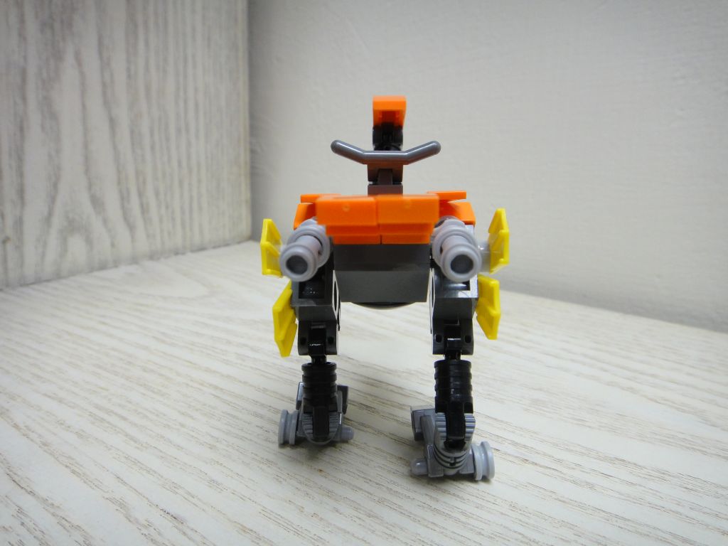 005.jpg