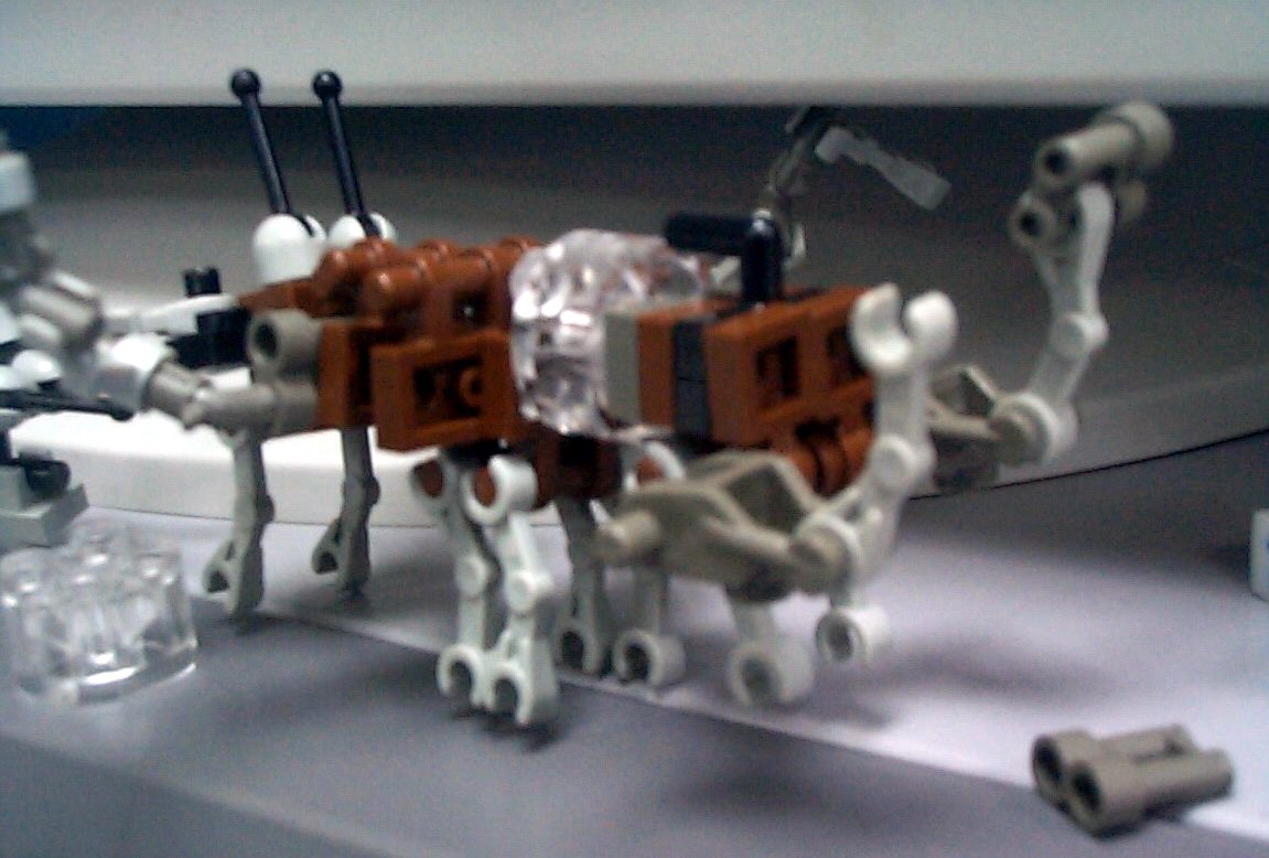 tech-dog-2.jpg