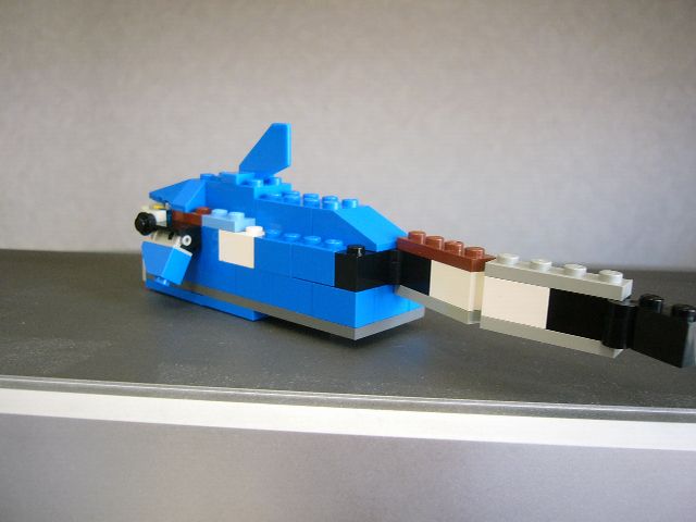 gao_shark03.jpg