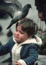 pigeon.jpg