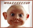 wazzup.jpg