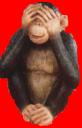 monkey.bmp