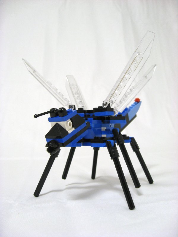 4101-inst-3-03_004.jpg