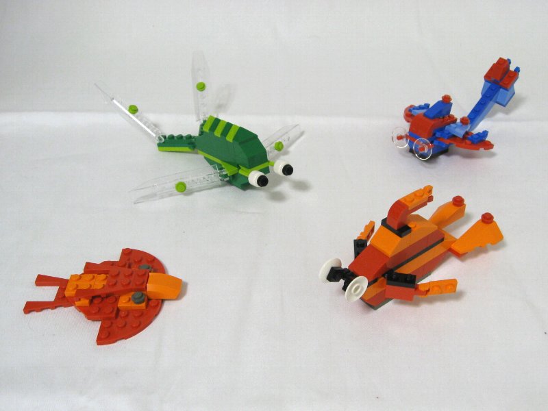 4101-sga_001.jpg
