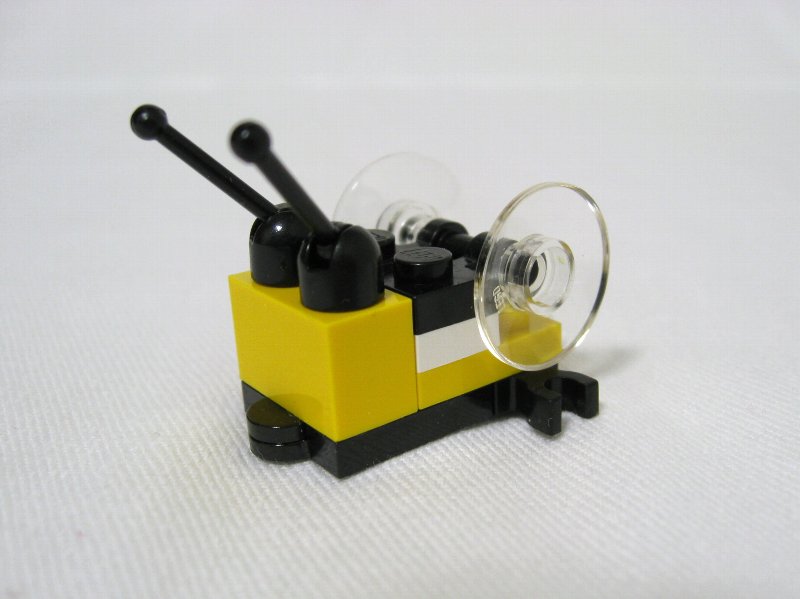 4101-sgb_015.jpg