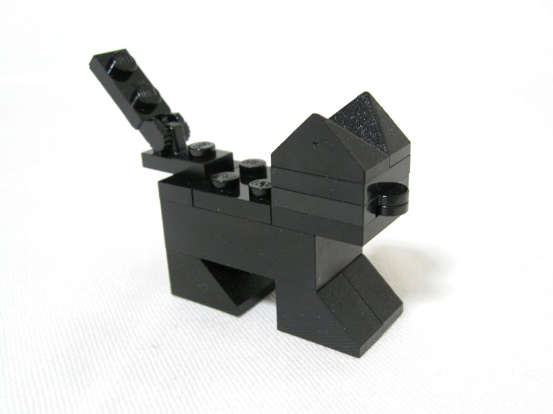 4101-sgb_016.jpg