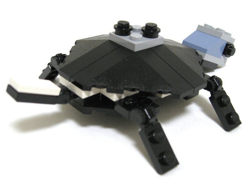 4506-idea-06_005.jpg