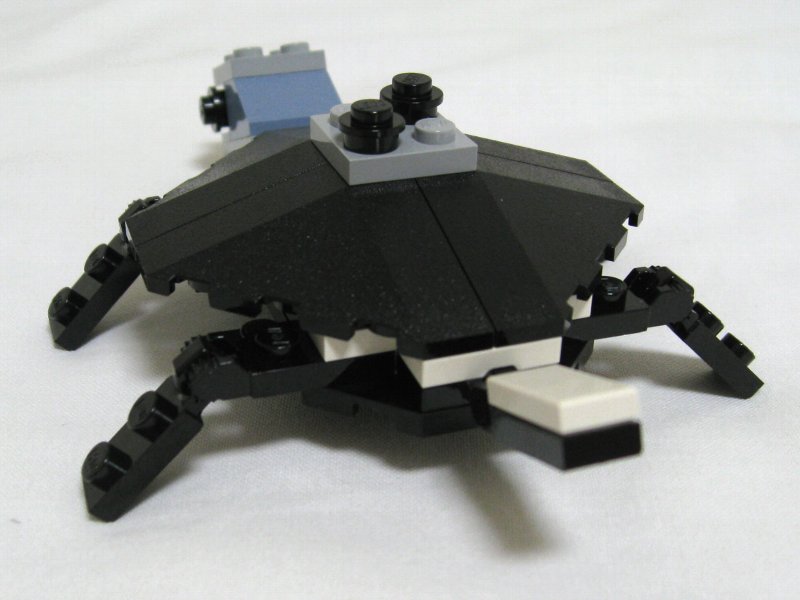 4506-idea-06_006.jpg