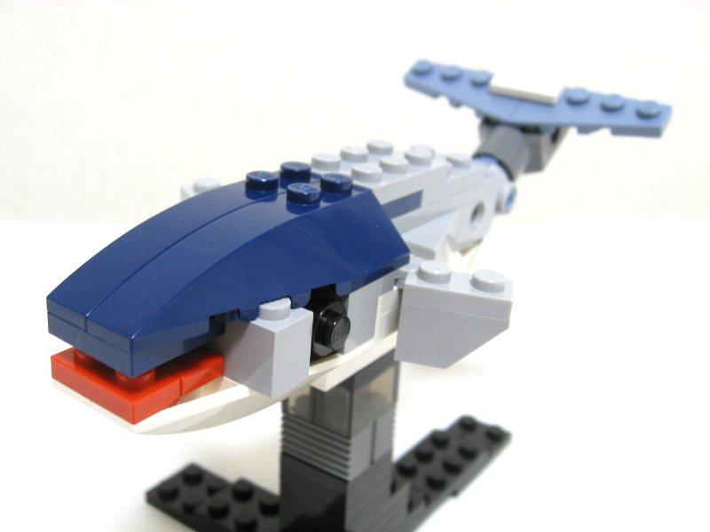 4506-inst-02_002.jpg