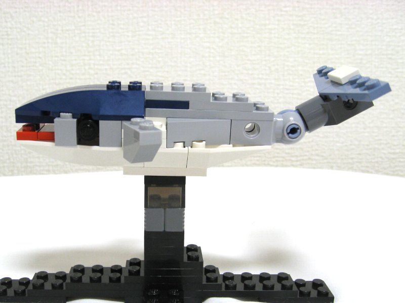 4506-inst-02_005.jpg