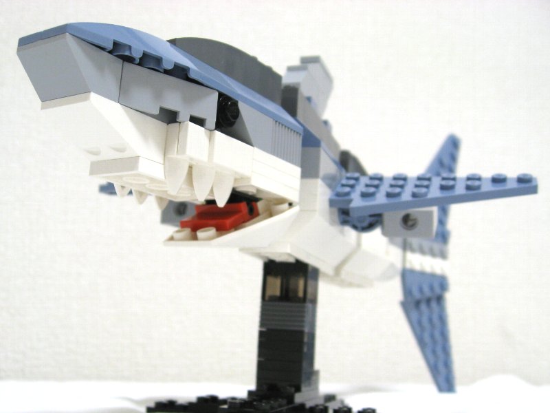 4506-inst-05_003.jpg
