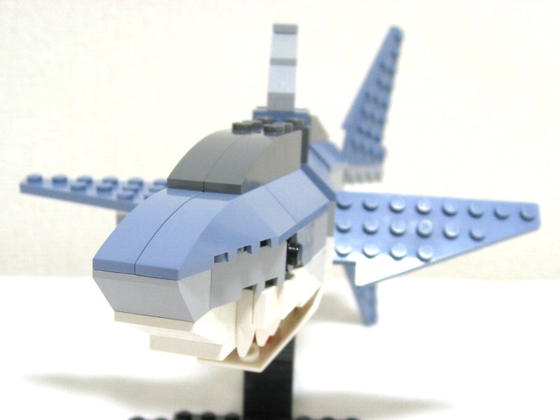 4506-inst-05_007.jpg