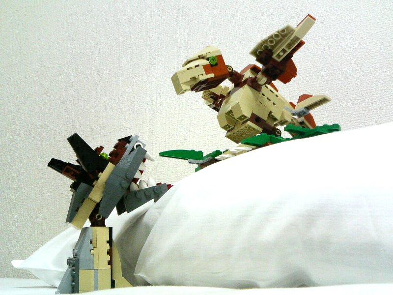 4884_idea_combi2_005.jpg