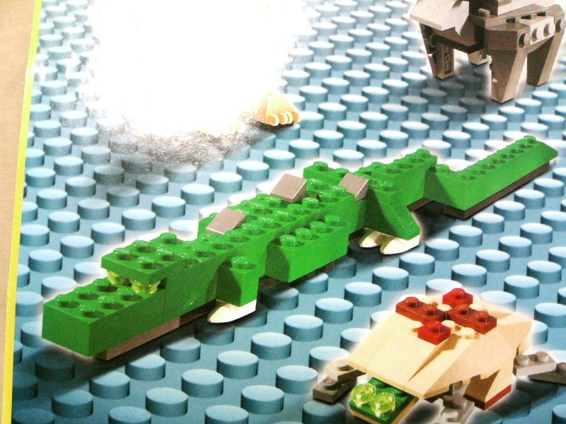 4884-idea1-06_002.jpg