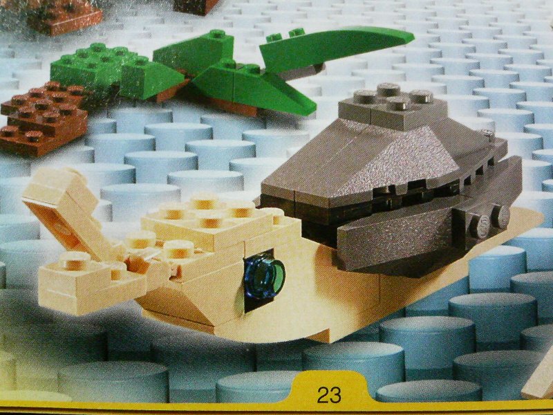 4884-idea1-09_002.jpg