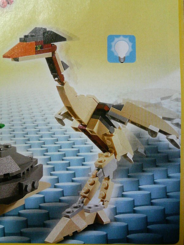 4884-idea1-10_002.jpg