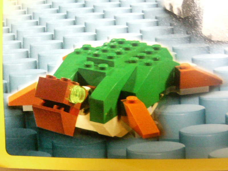 4884-idea2-1_002.jpg