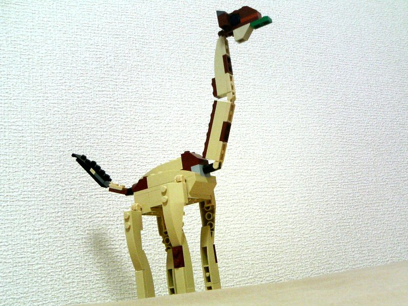 4884-idea2-2_001.jpg