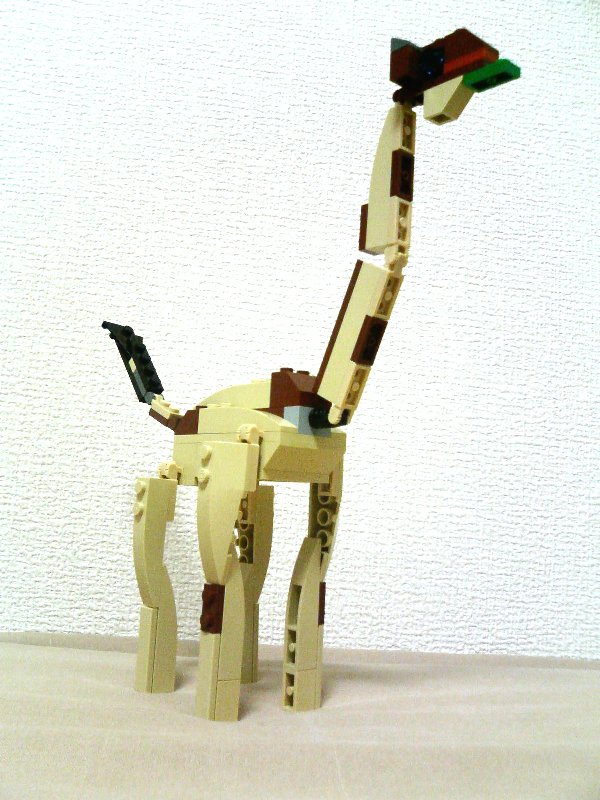 4884-idea2-2_008.jpg