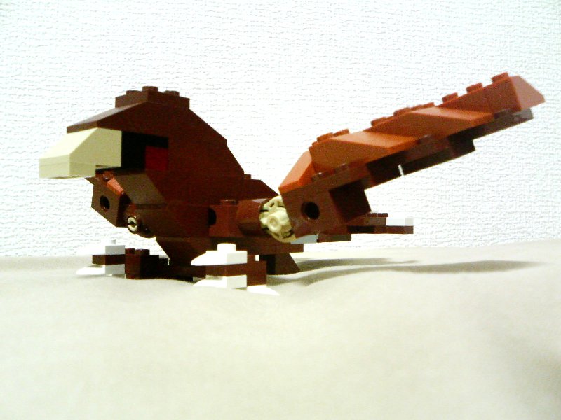 4884-idea2-5_004.jpg