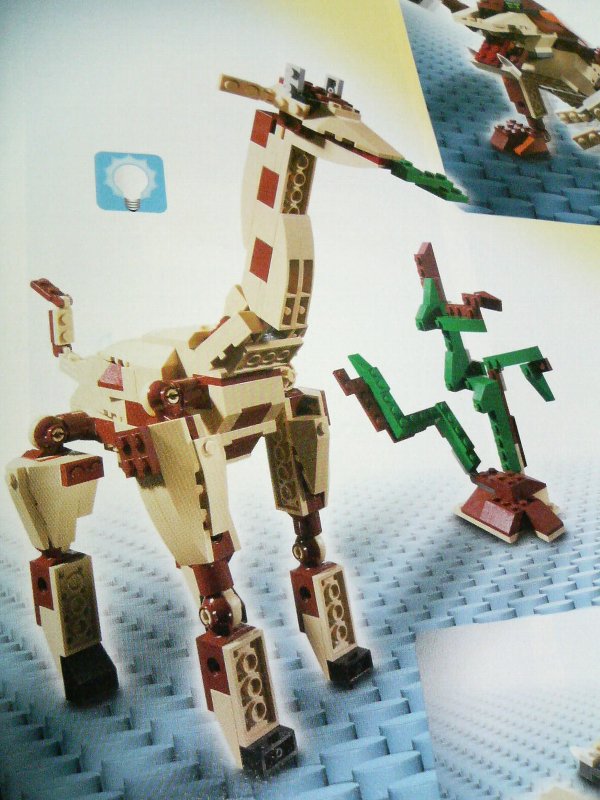 4884-idea3-1_002.jpg