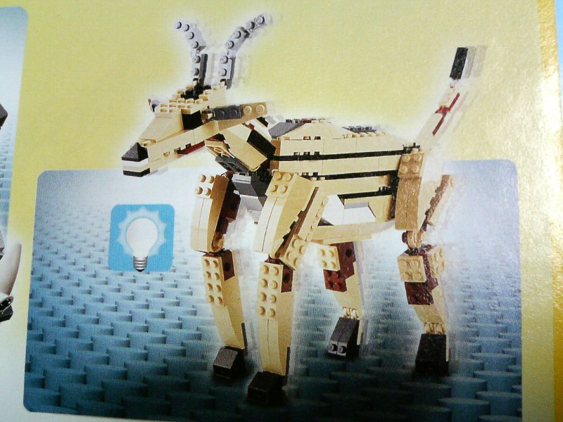 4884-idea3-3_002.jpg