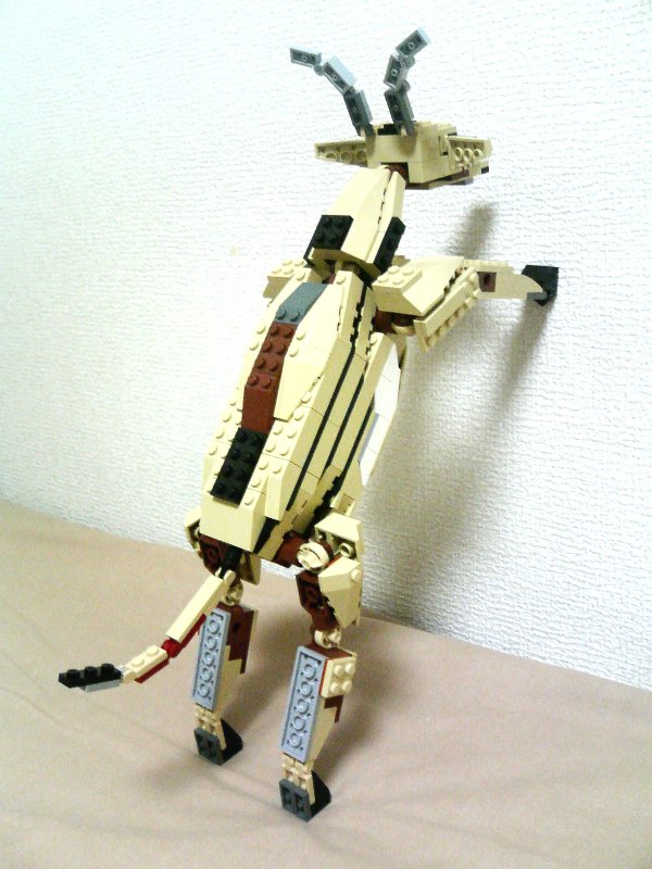 4884-idea3-3_014.jpg