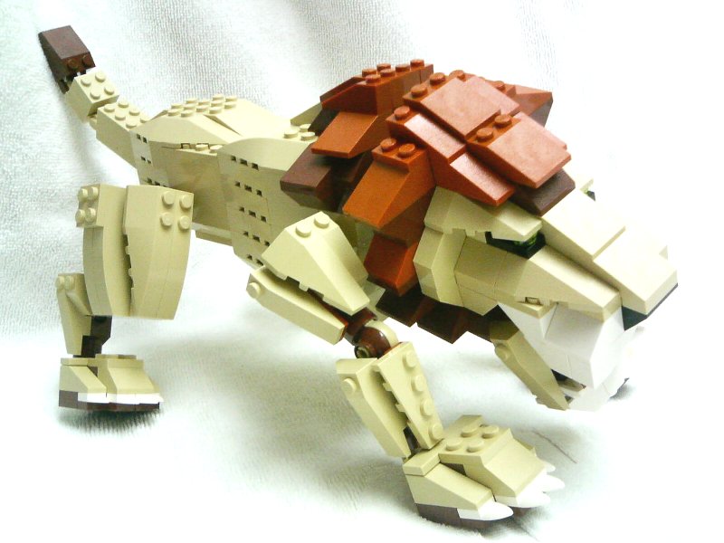 4884-inst3-1_002.jpg