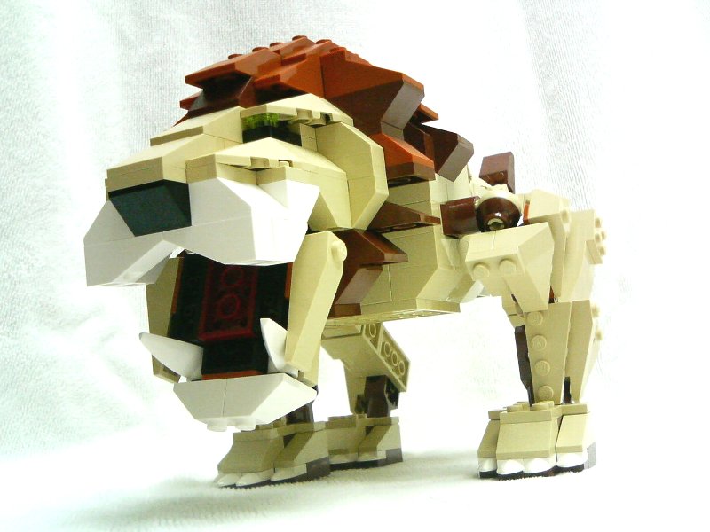 4884-inst3-1_005.jpg