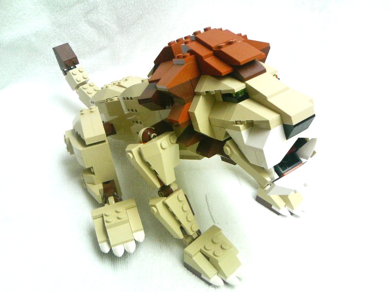 4884-inst3-1_013.jpg