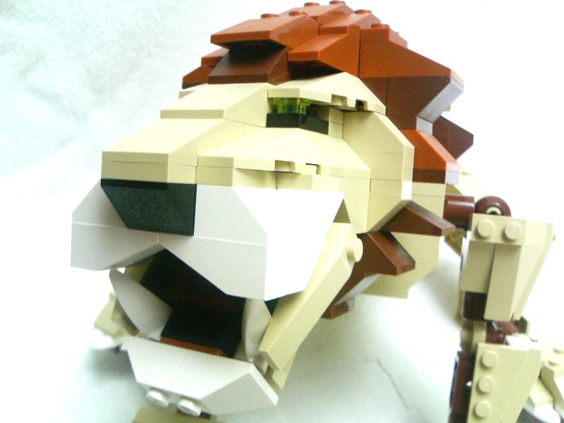 4884-inst3-1_017.jpg