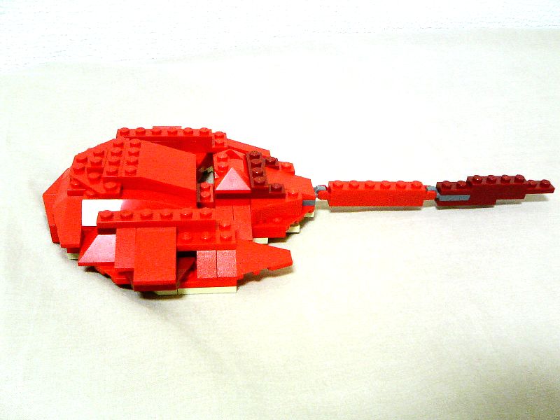 4892_mesolimulus_002.jpg