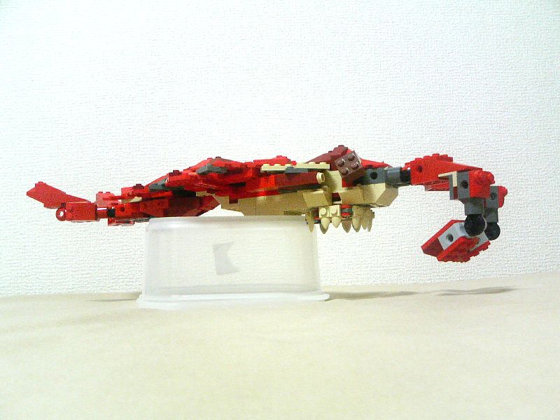 4892_anomalocaris_004.jpg