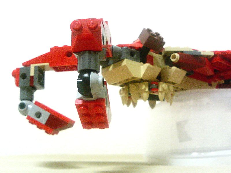 4892_anomalocaris_007.jpg
