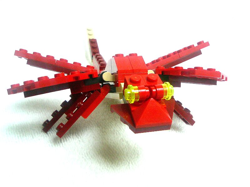 4892_113_004_.jpg