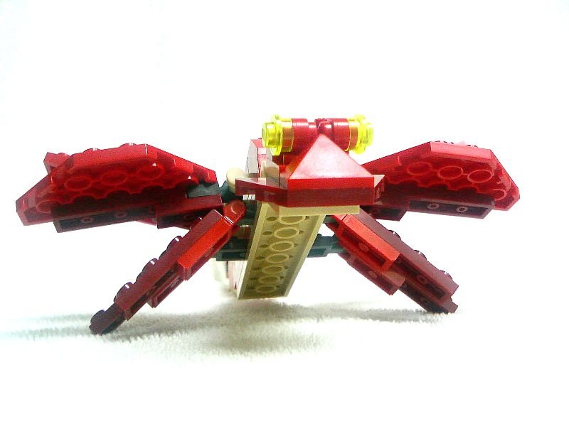 4892_113_005_.jpg