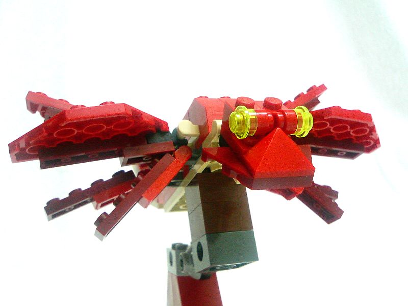 4892_113_006_.jpg