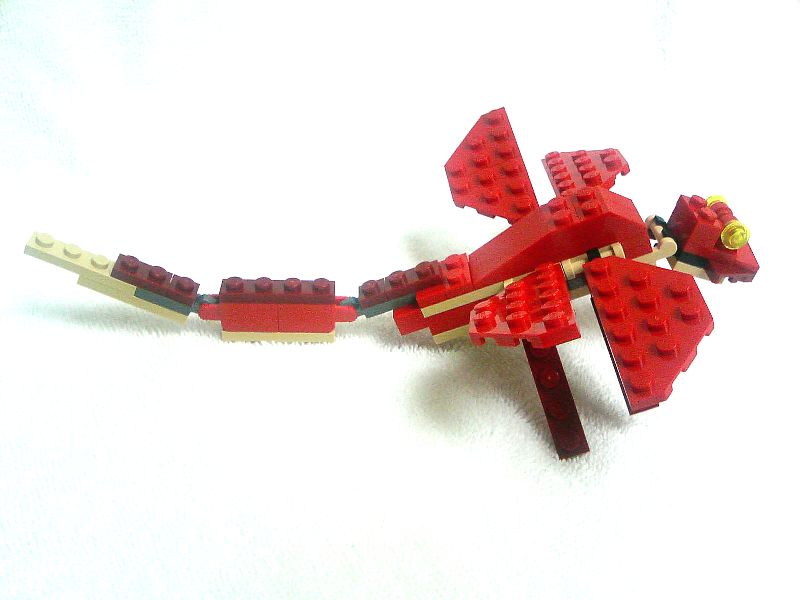4892_113_009_.jpg
