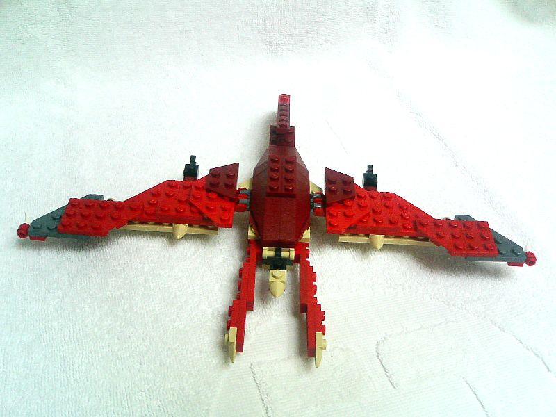 4892_107_005_pteranodon.jpg