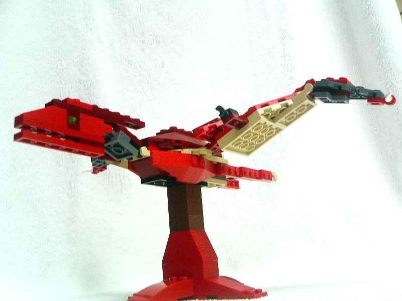 4892_107_011_pteranodon.jpg