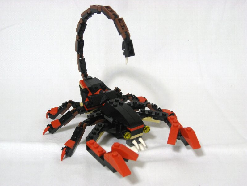 4994-alt-1_001.jpg