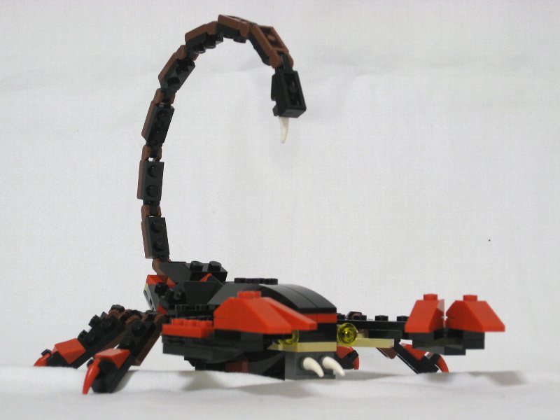 4994-alt-1_002.jpg