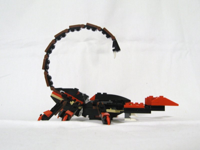 4994-alt-1_003.jpg