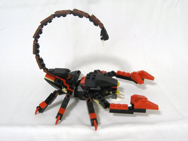 4994-alt-1_004.jpg