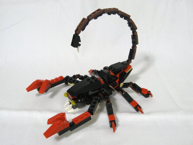 4994-alt-1_005.jpg
