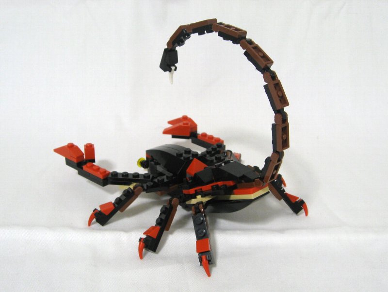 4994-alt-1_006.jpg