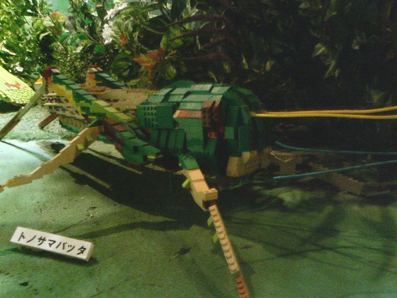 dcf_0069.jpg