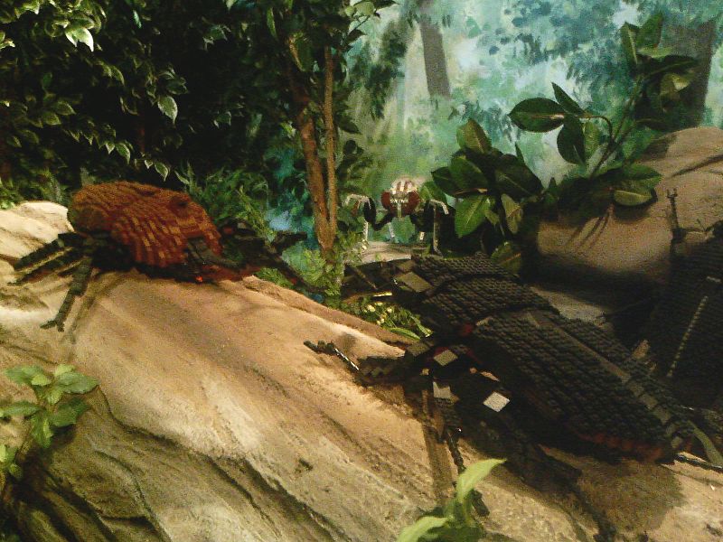 dcf_0081.jpg