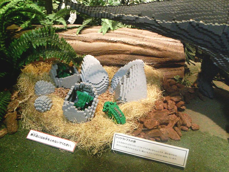 dcf_0102.jpg