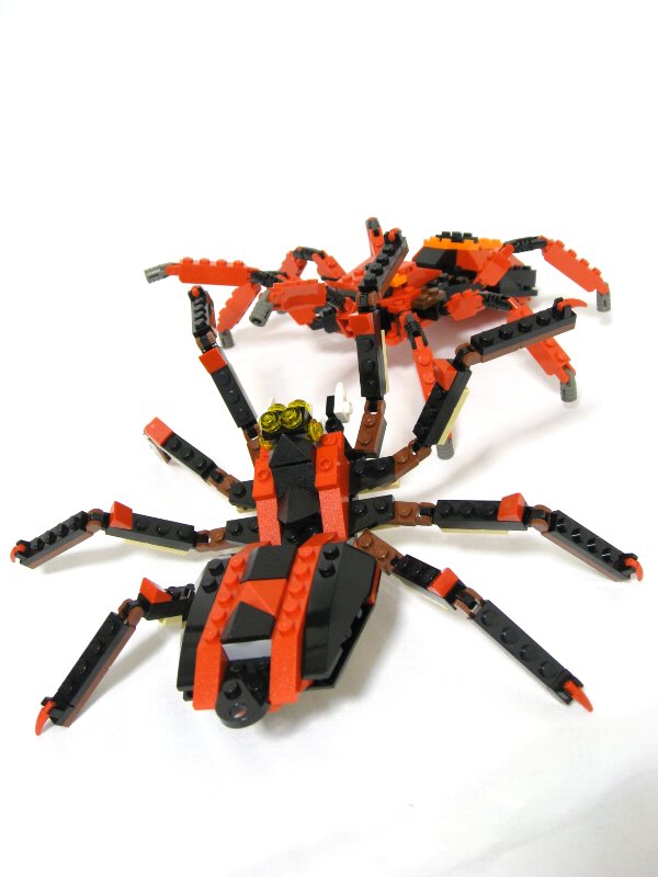 99-4994w4101-spiders_003.jpg